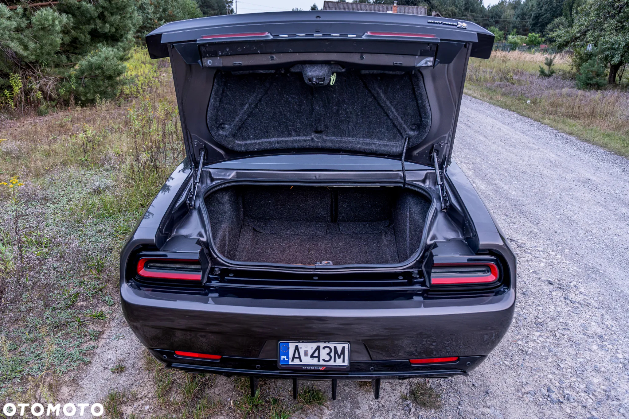 Dodge Challenger 6.4 Scat PackWidebody - 21