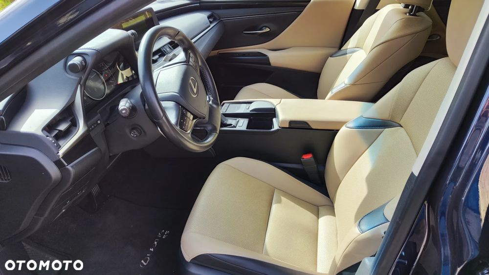 Lexus ES 300h Elegance - 8