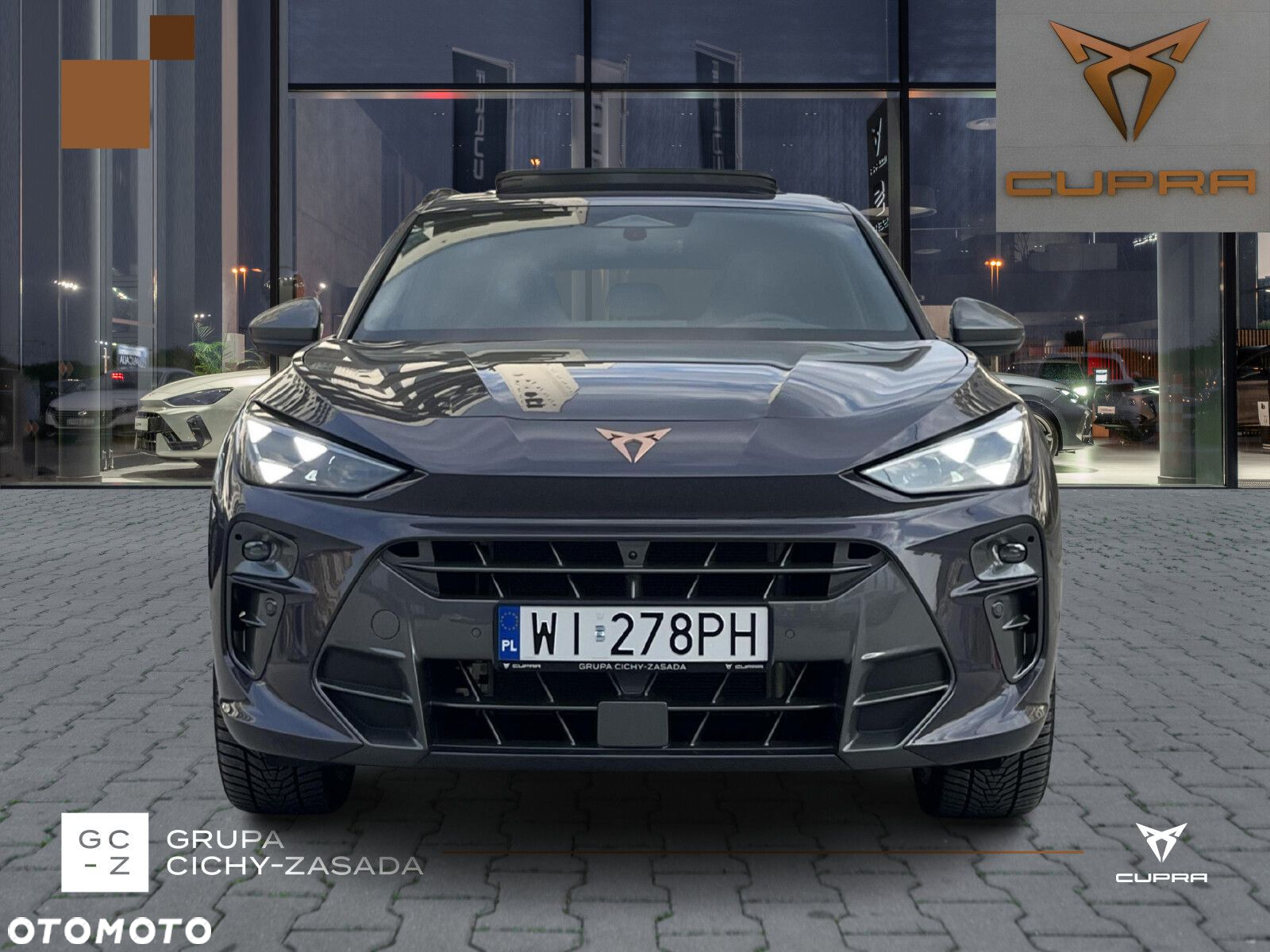 Cupra Terramar - 9