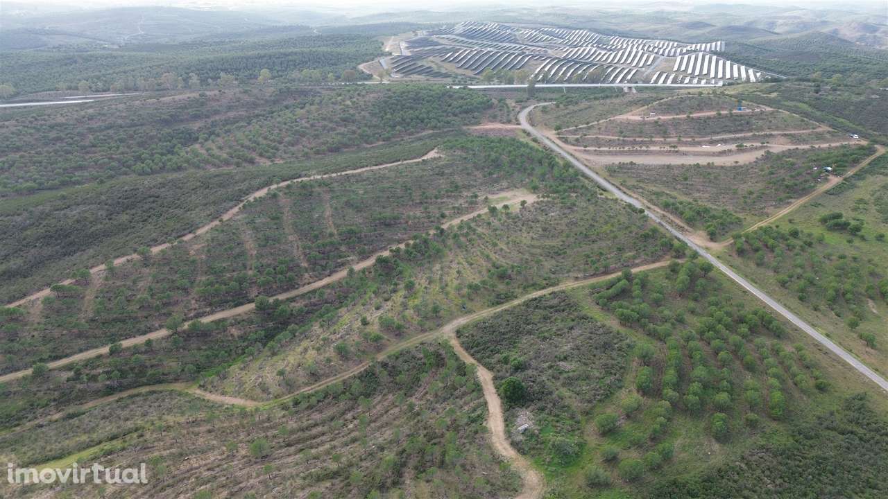Terreno Rústico  Venda em Alcoutim e Pereiro,Alcoutim - Grande imagem: 3/22
