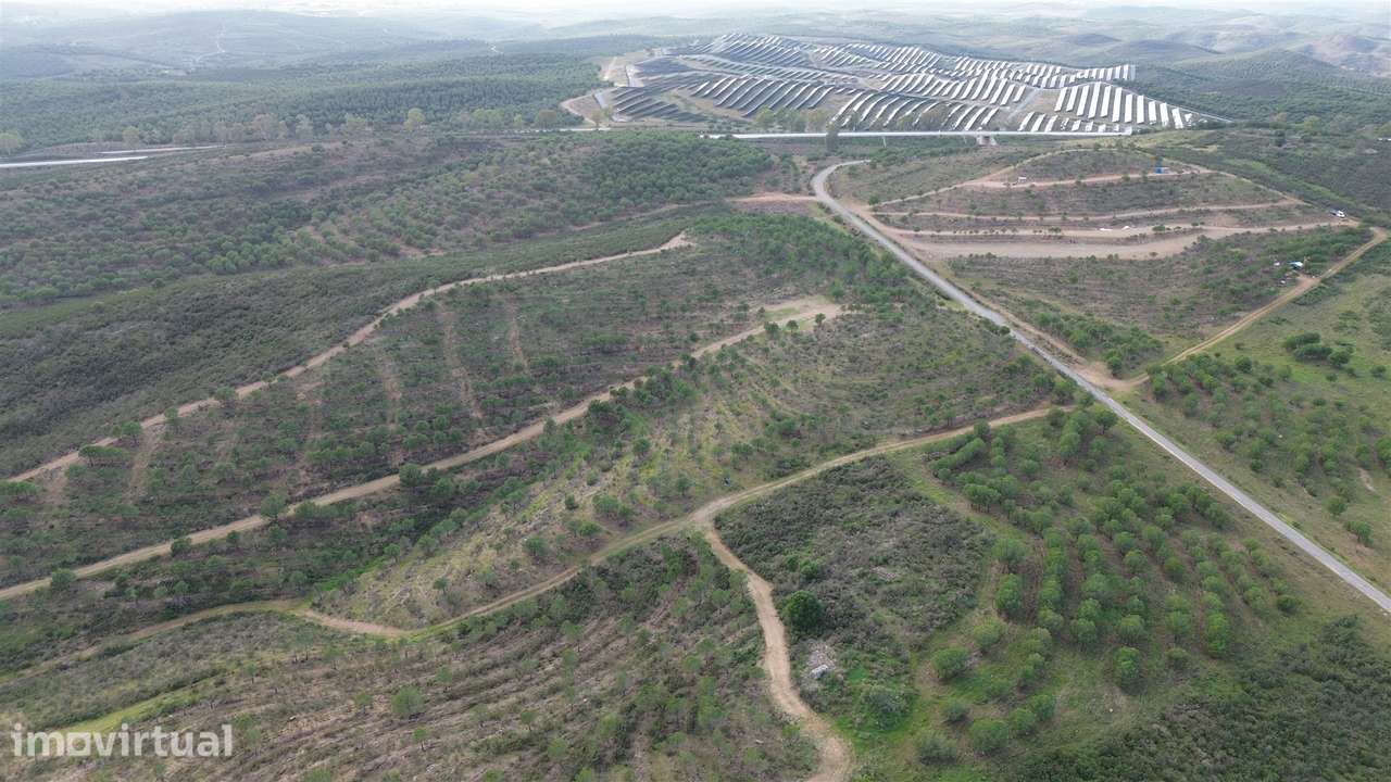 Terreno Rústico  Venda em Alcoutim e Pereiro,Alcoutim - Grande imagem: 4/22