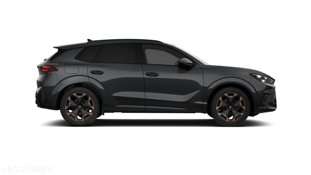 Cupra Terramar - 9