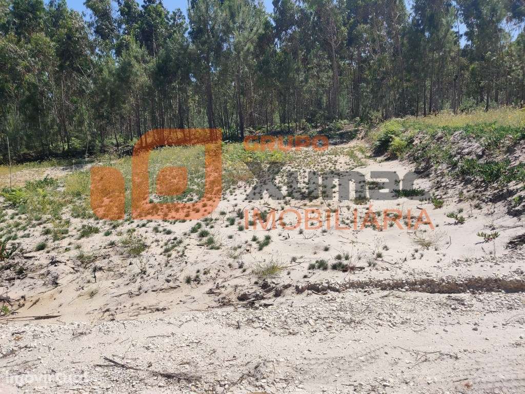 Terreno rústico para uso agrícola ou similar, ideal também para cas... - Grande imagem: 5/7