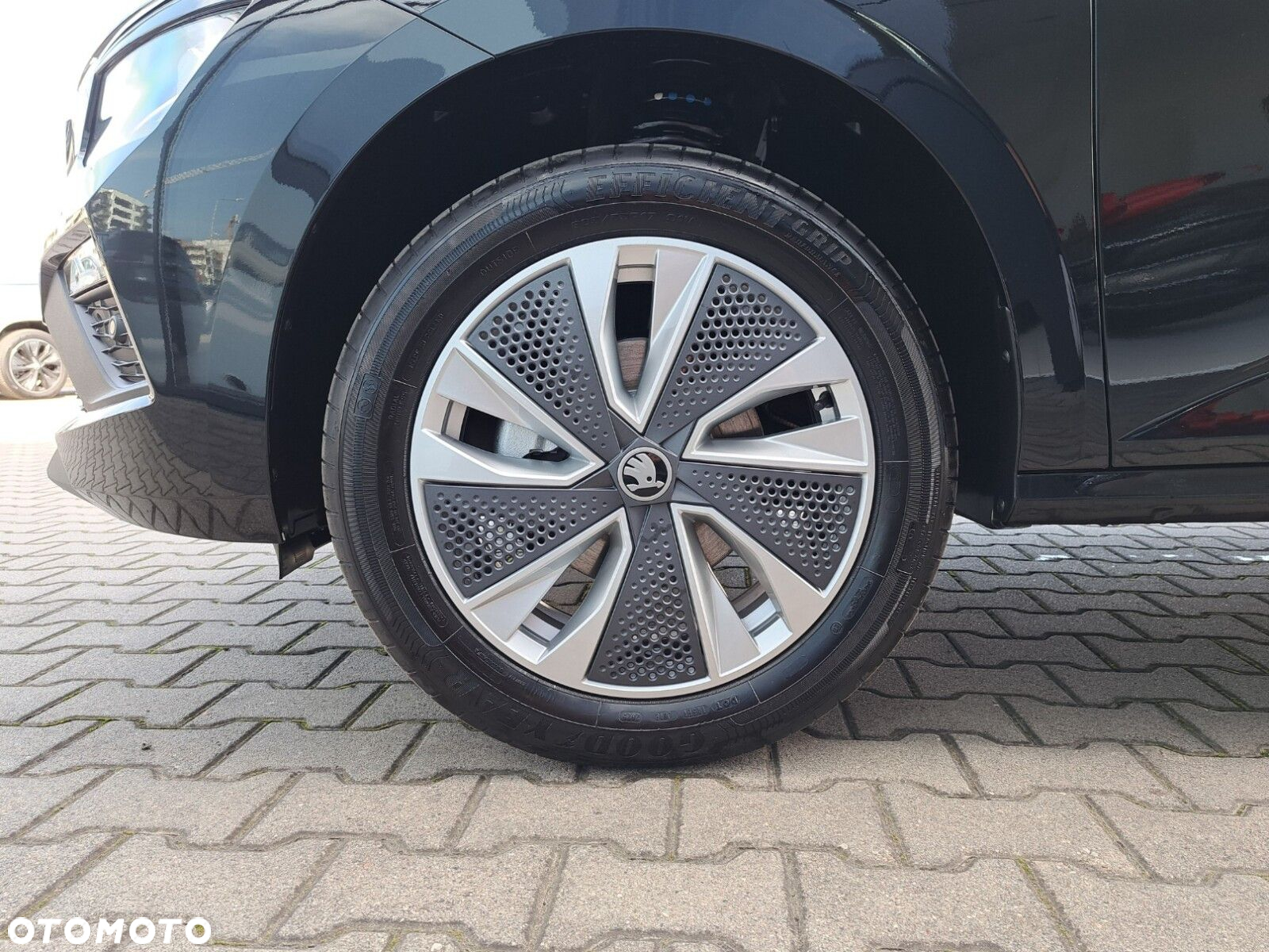 Skoda Kamiq 1.0 TSI Edition 130 DSG - 30