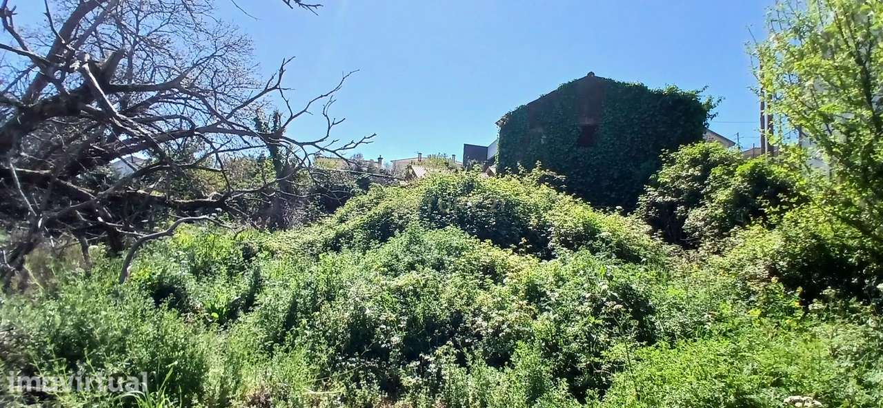 Casa Antiga com Vista Campestre em Aguiar, Barcelos - Grande imagem: 5/9