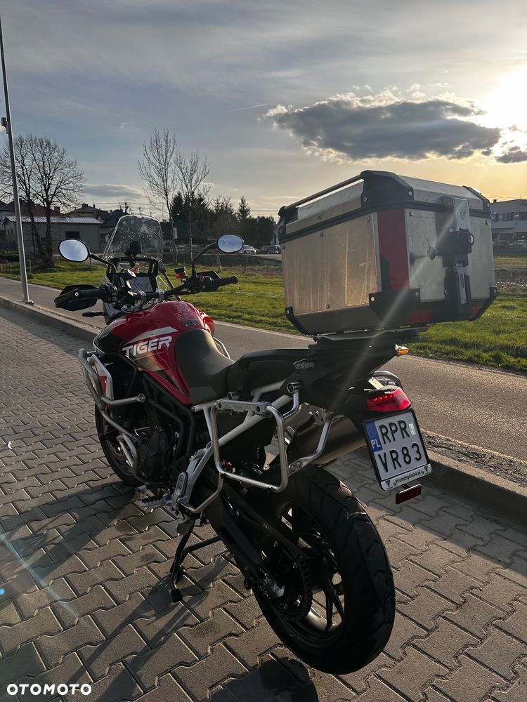 Triumph Tiger - 4