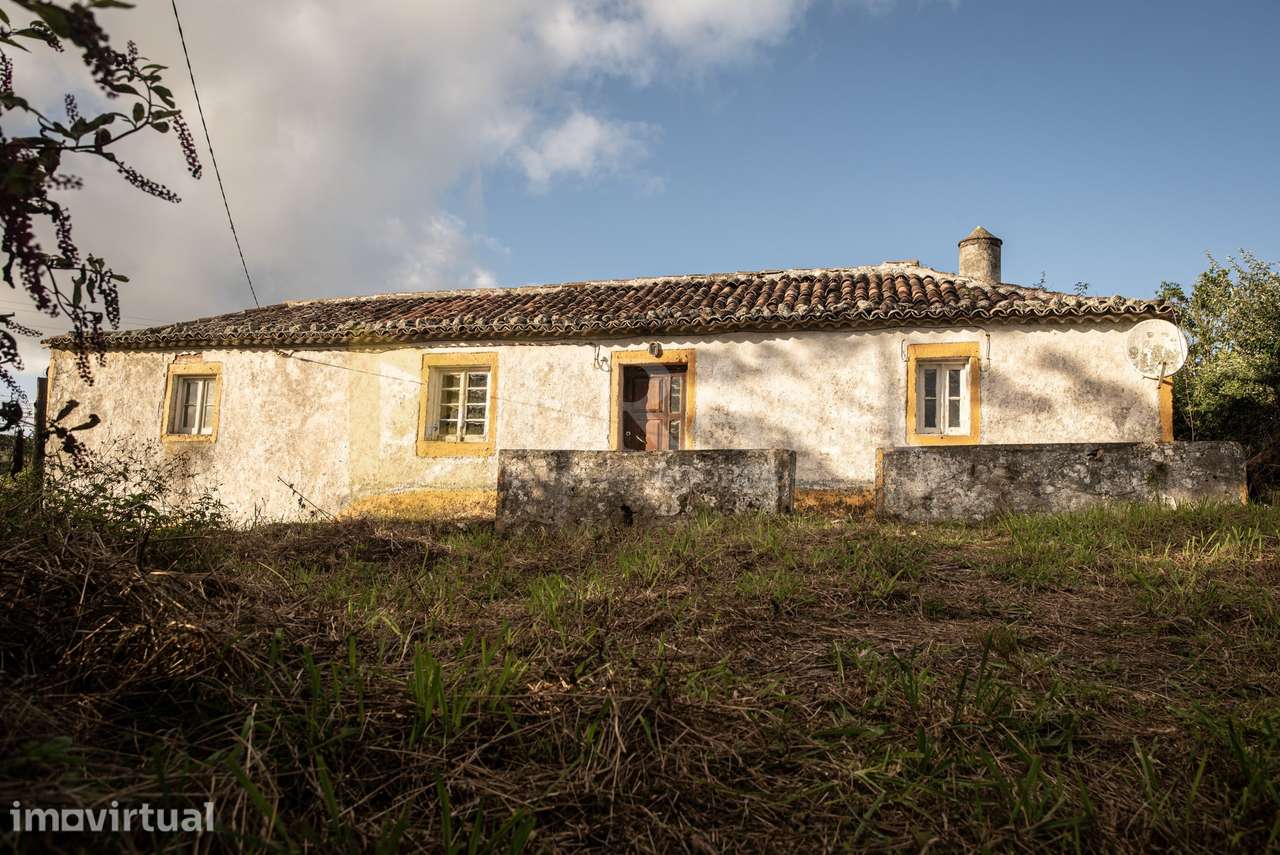 Moradia Isolada em São Pedro – Ilha de Santa Maria - Grande imagem: 5/31