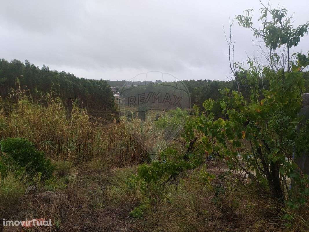 Moradia T5 para venda - Grande imagem: 4/14