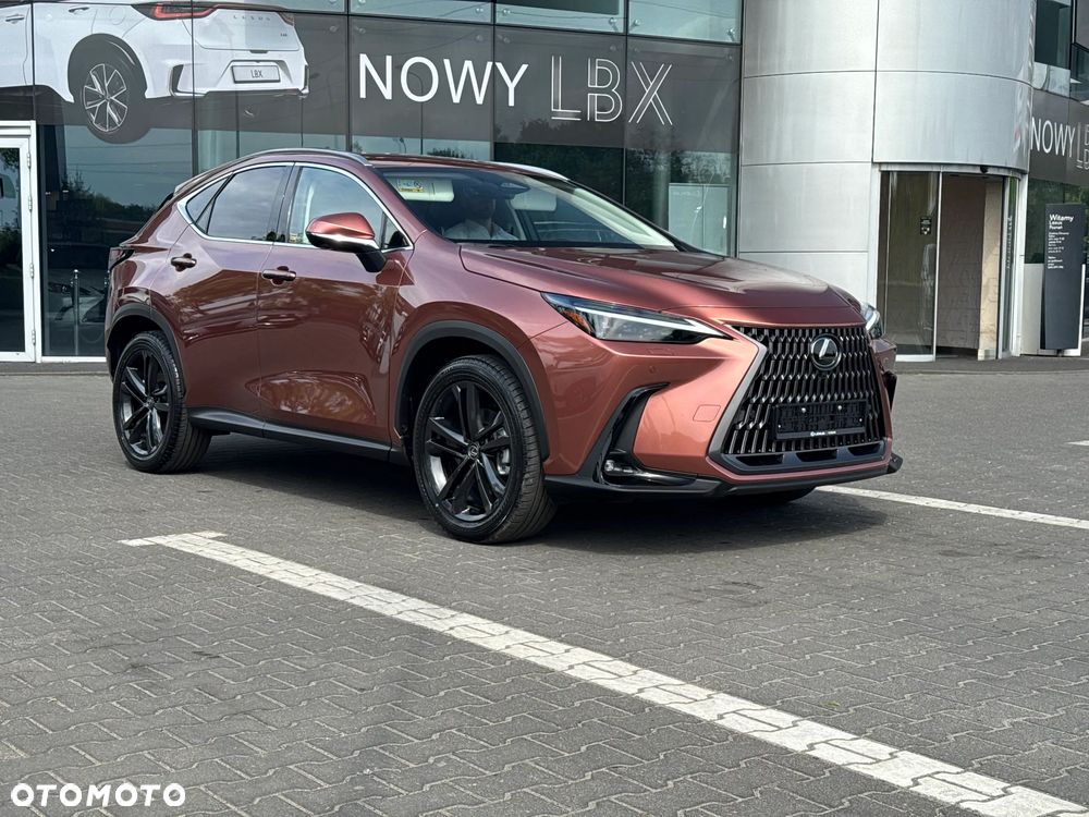 Lexus NX - 13