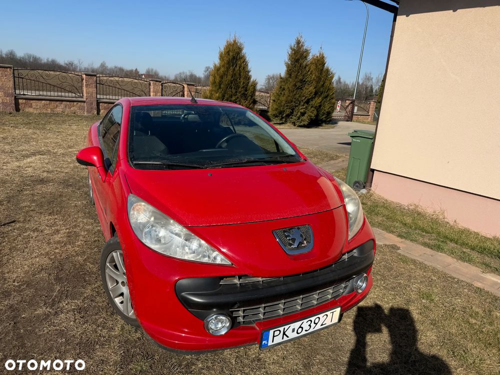 Peugeot 207 - 8