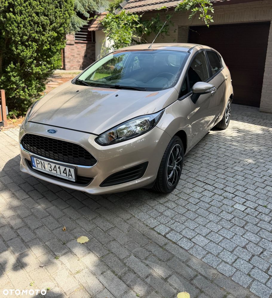 Ford Fiesta - 1