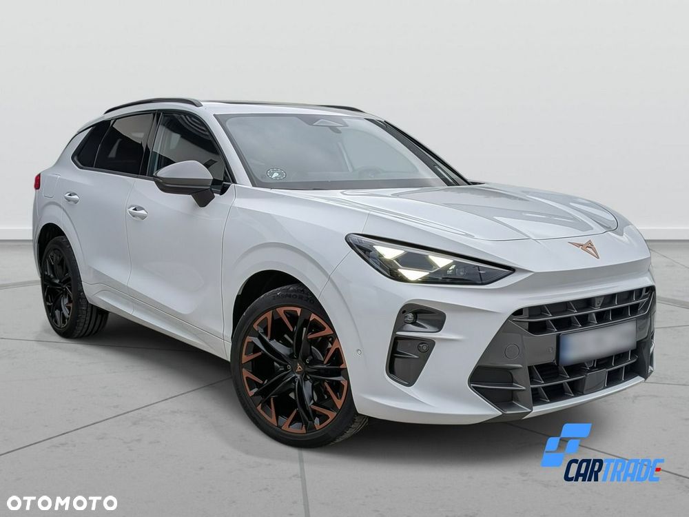 Cupra Terramar - 6