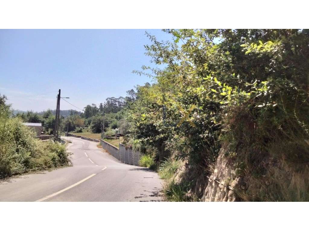 Terreno rústico com potencial para urbano á venda em Sever do Vouga!!! - Grande imagem: 5/14