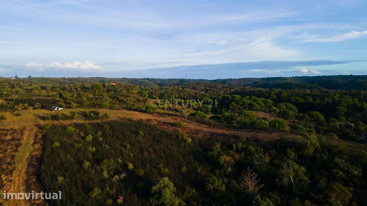 Terreno com vista mar Santa Cruz - Santiago do Cacém - Grande imagem: 4/8