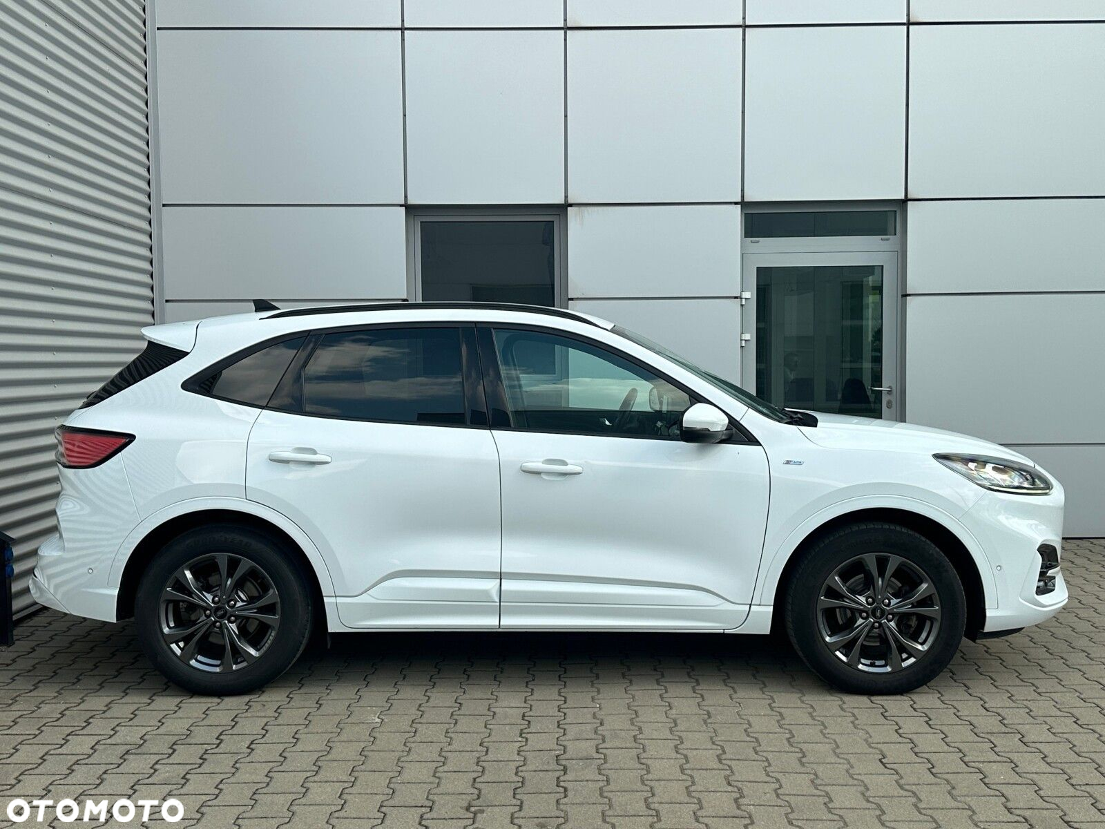 Ford Kuga 2.0 EcoBlue AWD ST-Line X - 6