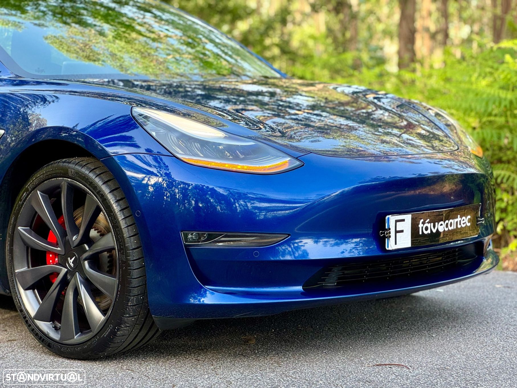 Tesla Model 3 Performance Dual Motor AWD - 15