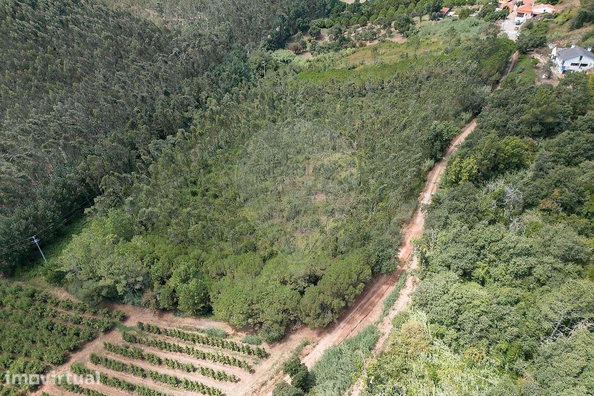 Terreno  para venda - Grande imagem: 2/17