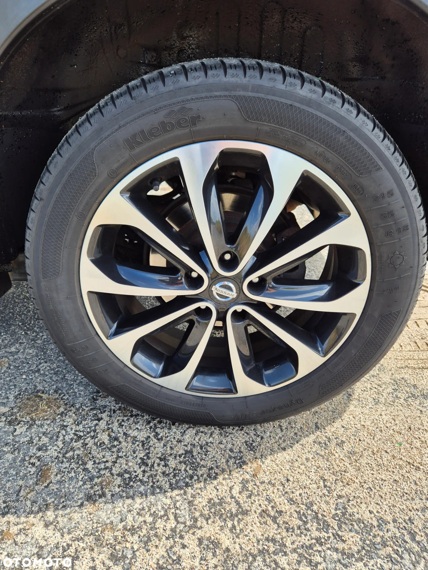 Nissan Qashqai 1.6 dCi DPF Start/Stop tekna - 30