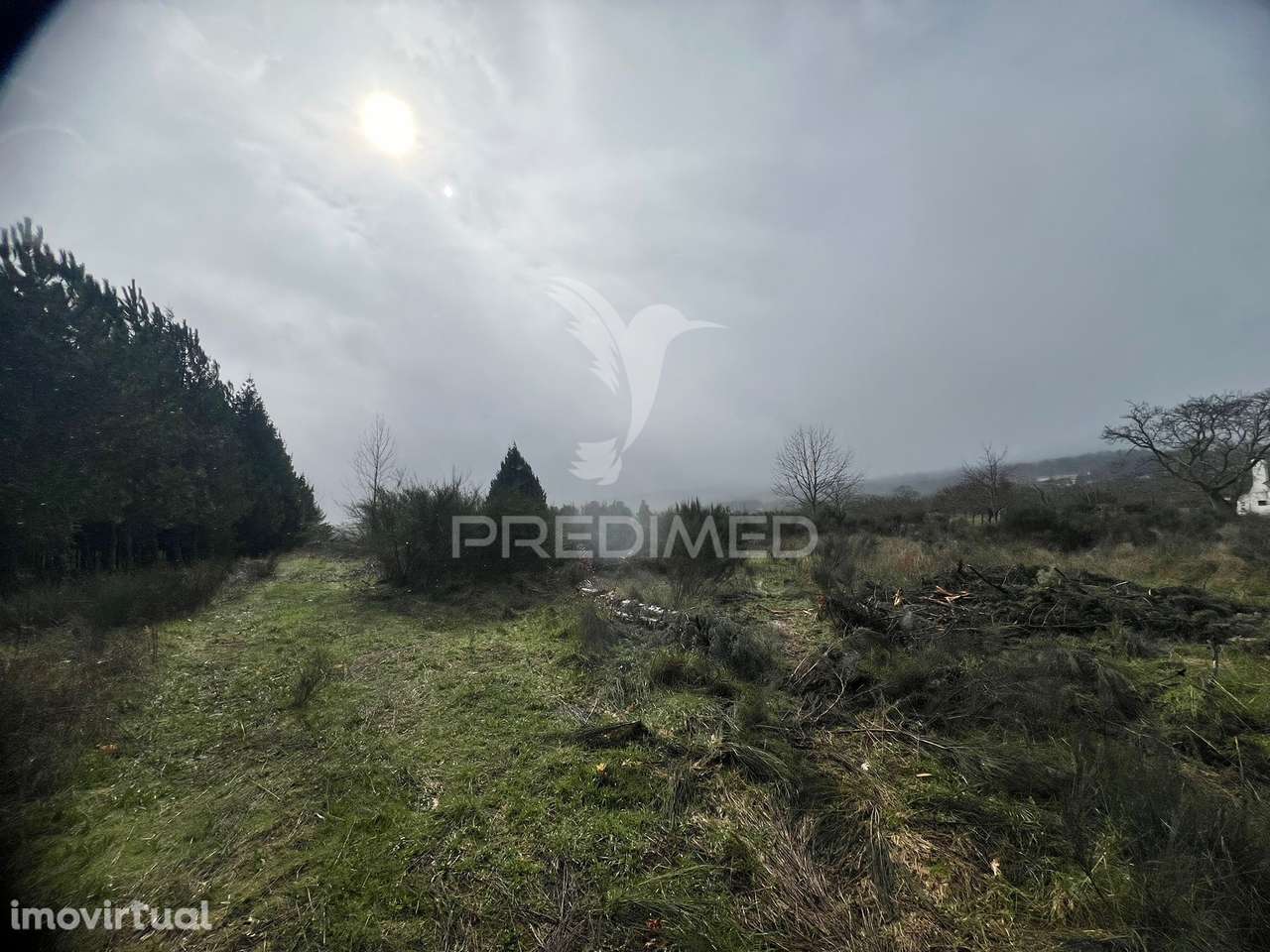 Terreno Rustico Penela Da Beira - Grande imagem: 3/4