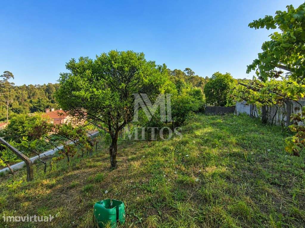 Terreno em zona de construção com 1.150 m² em Subportela - Viana do... - Grande imagem: 3/16