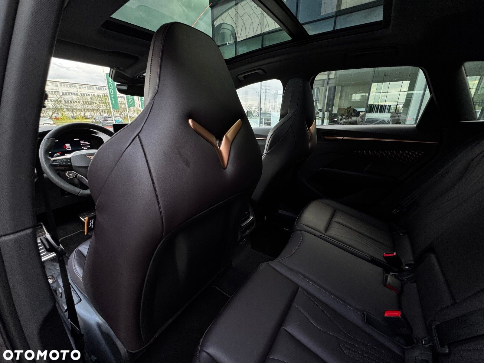 Cupra Terramar - 16