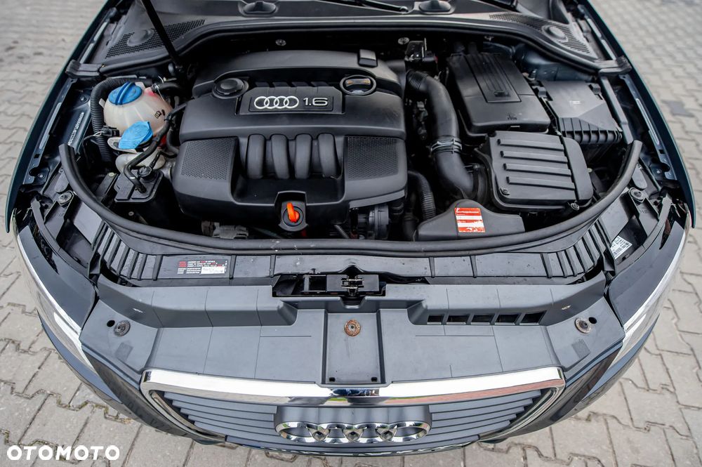 Audi A3 Sportback 1.6 Ambiente - 20
