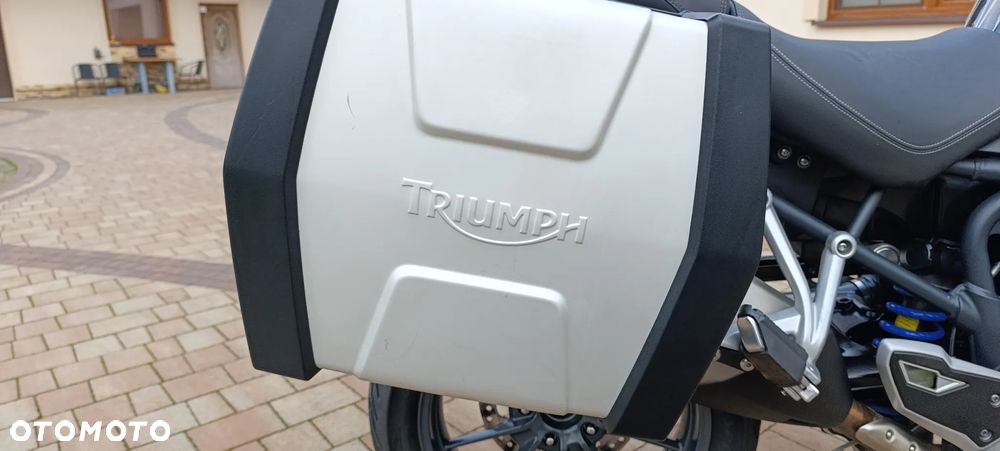Triumph Tiger - 24
