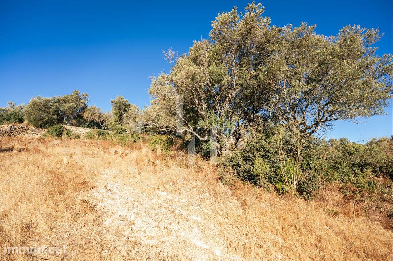 Terreno com Projeto Aprovado para 2 Moradias Geminadas - Loulé - Grande imagem: 4/17