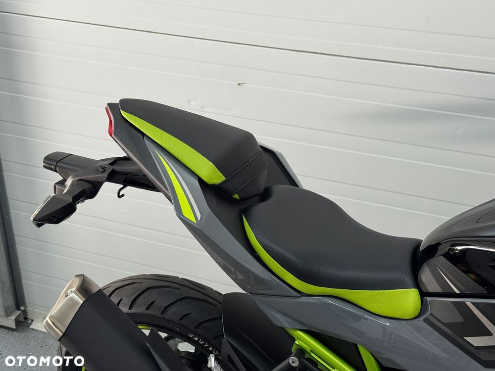 Kawasaki Z - 6