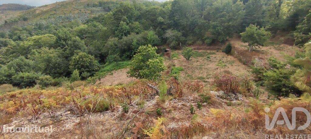 Terreno Agrícola em Mões - Grande imagem: 3/11
