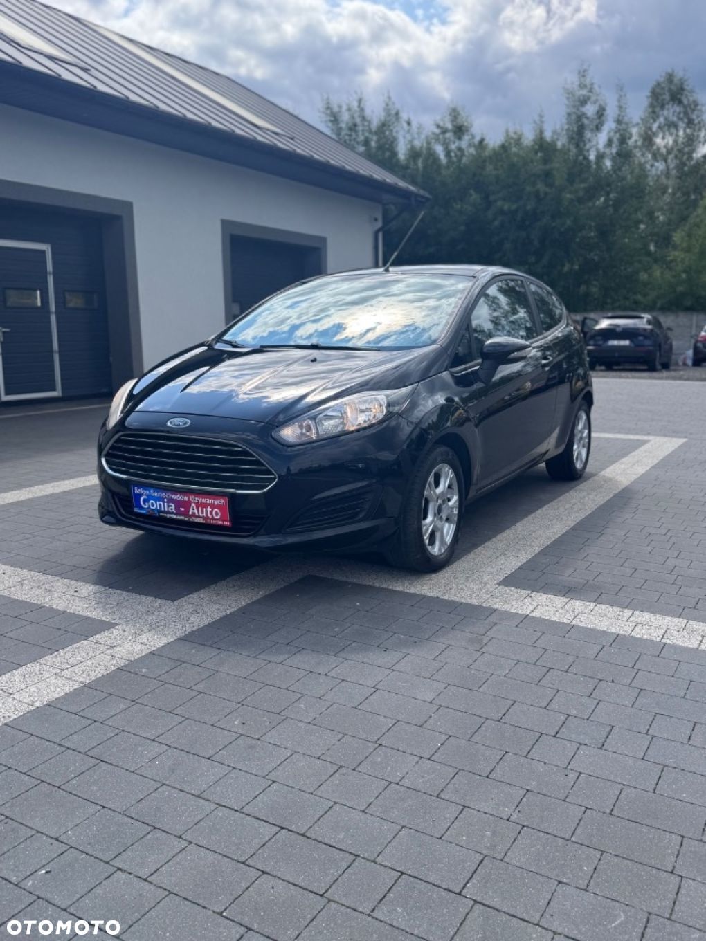 Ford Fiesta - 1
