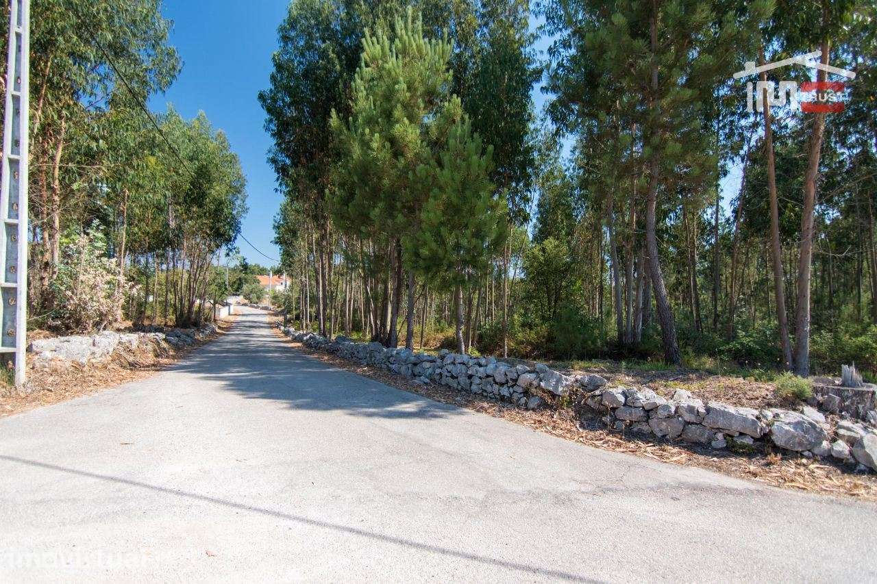 TERRENO EM MOITA DO MARTINHO A 5 MIN DE FÁTIMA - Grande imagem: 3/8