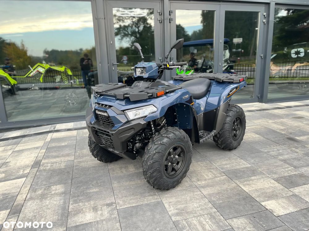 Kawasaki Brute Force - 6
