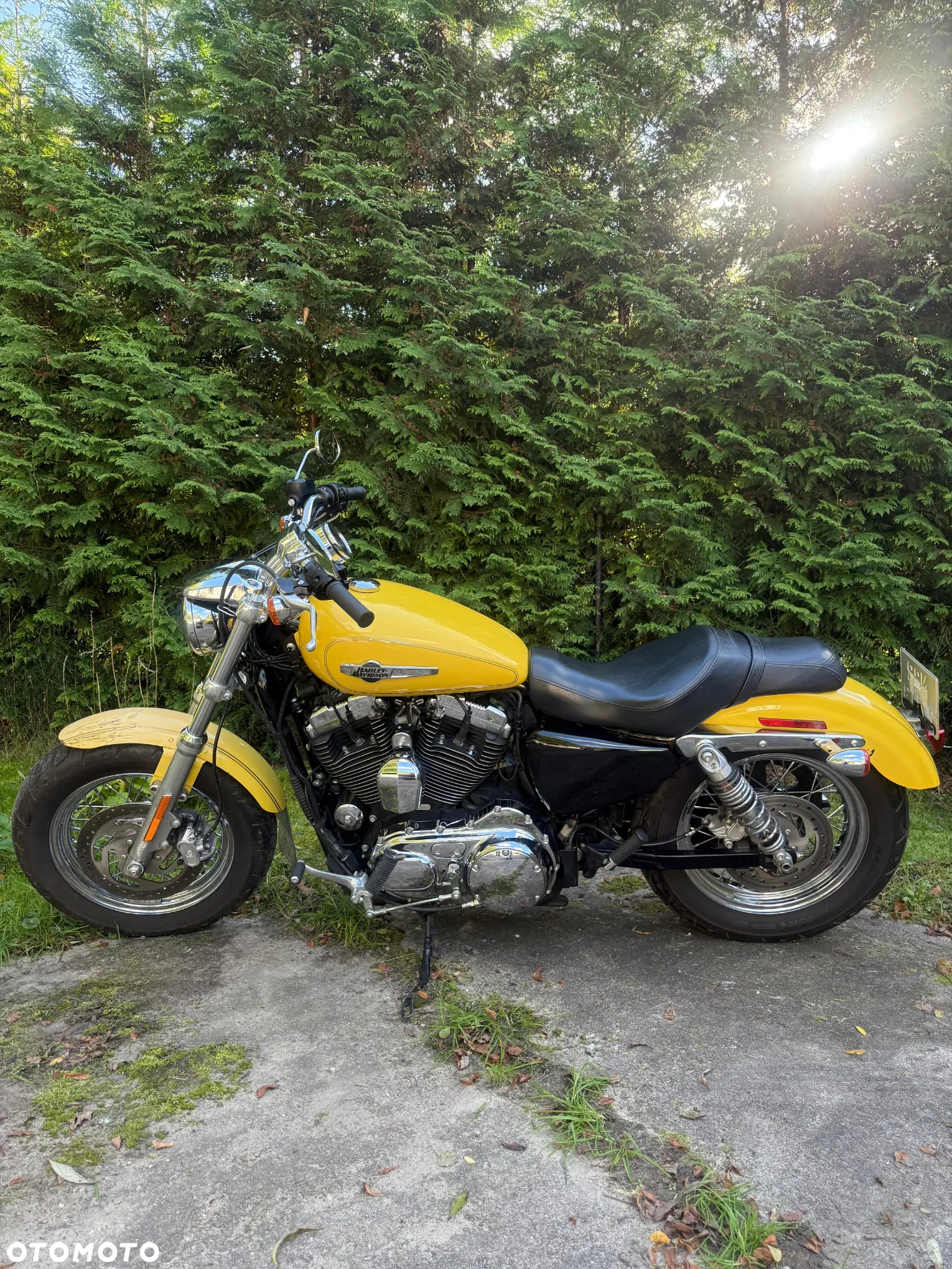 Harley-Davidson Sportster Custom 1200C - 5