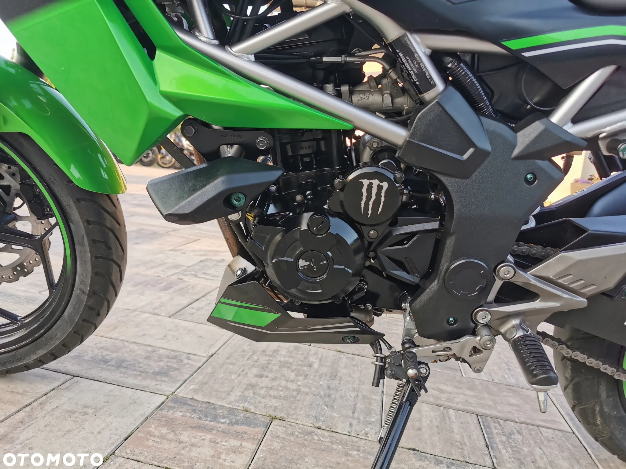 Kawasaki Z - 10