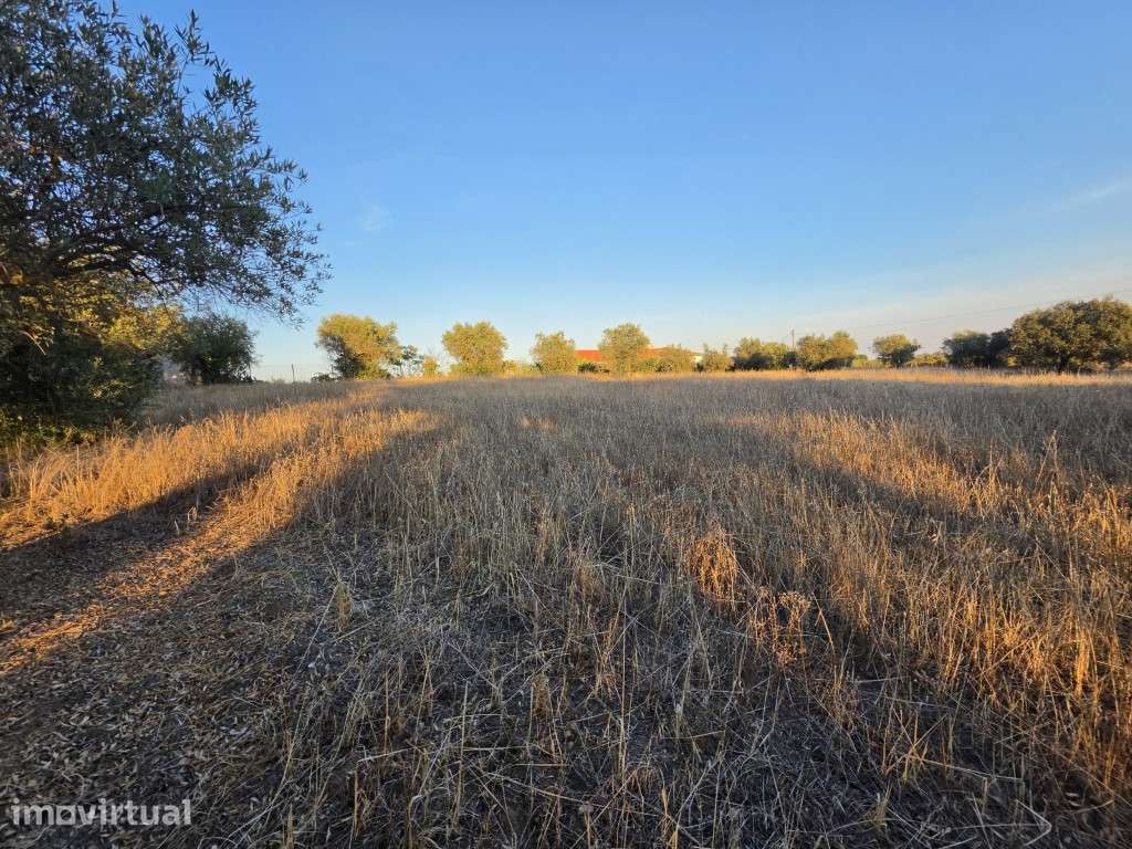 Terreno no Corval com Potencial para Turismo Rural | Possibilidade ... - Grande imagem: 3/14