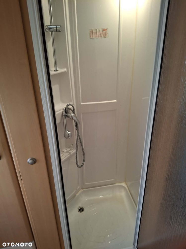 Coachman Amara - 12