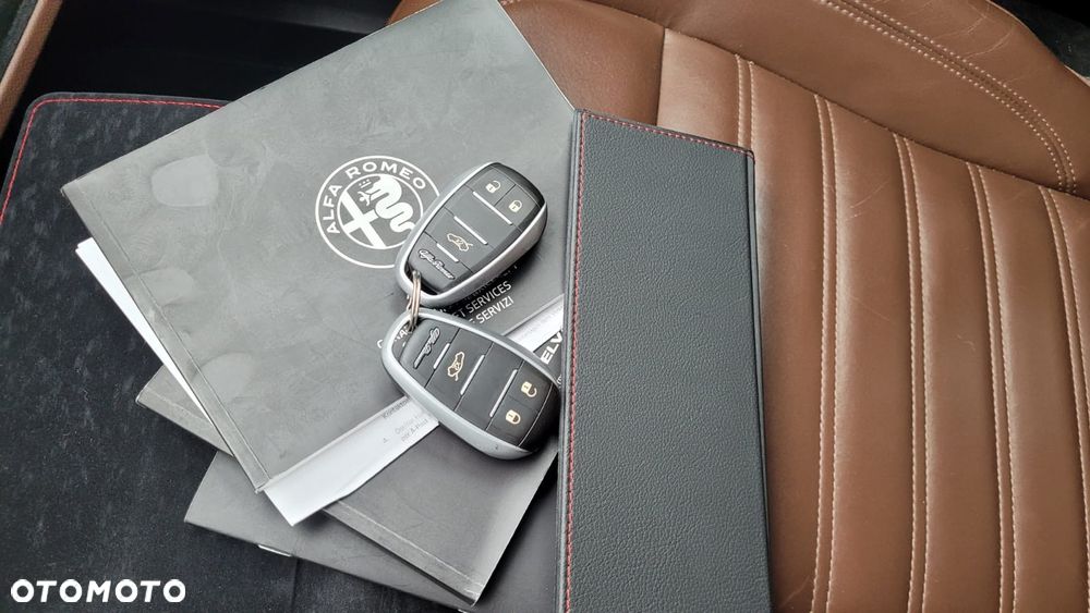 Alfa Romeo Stelvio 2.0 Turbo 16V AT8-Q4 Executive - 21