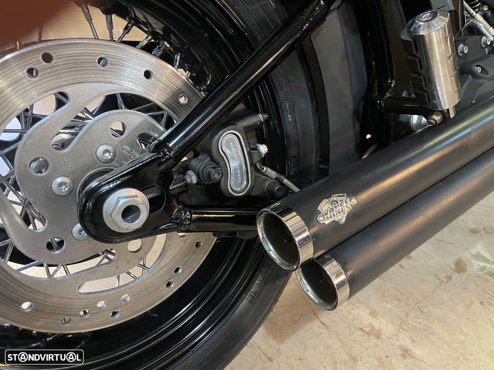 Harley-Davidson FLSTS - 9