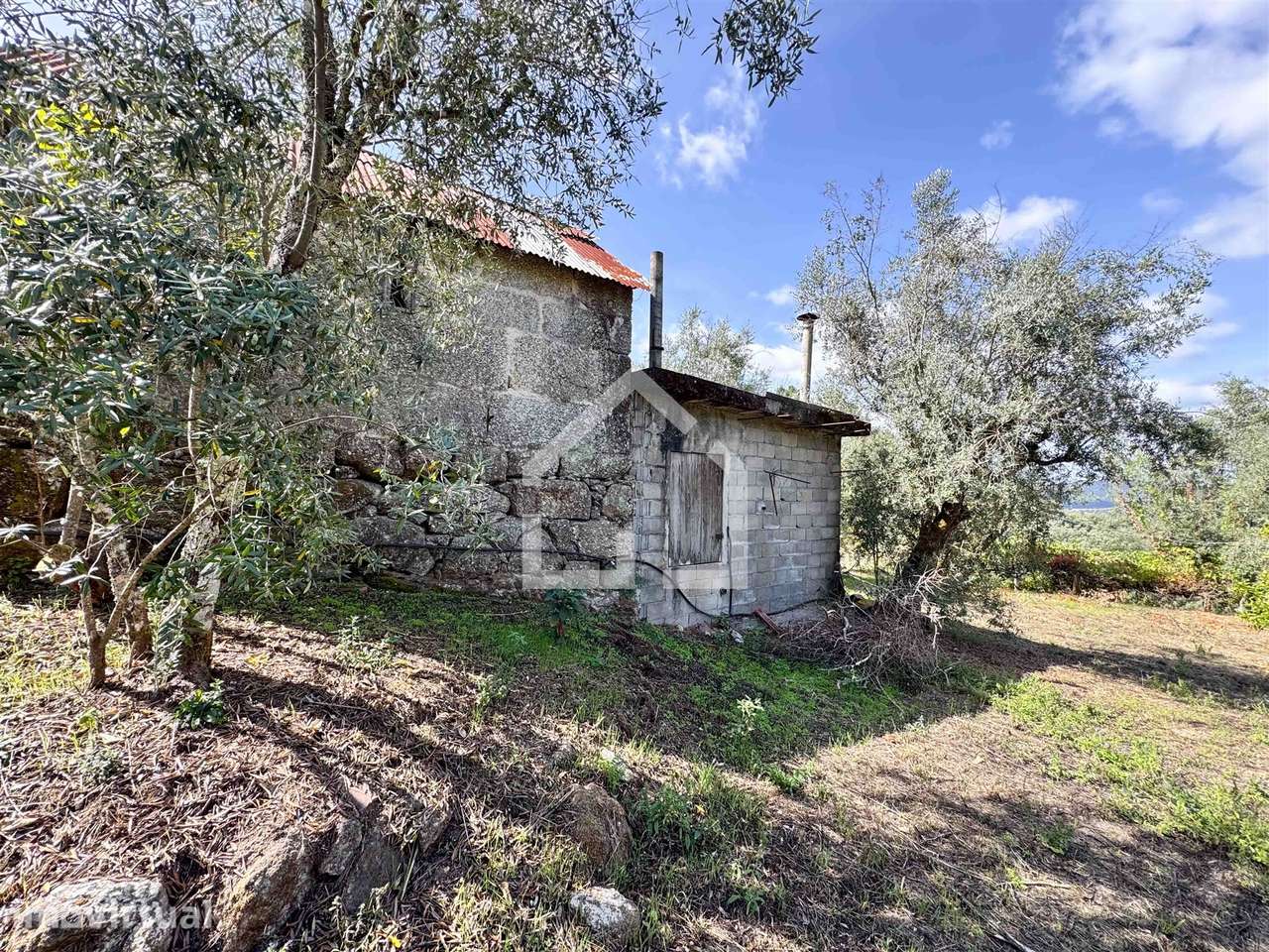 Quintinha com 5.105m2 com casa de Eira! - Grande imagem: 3/17