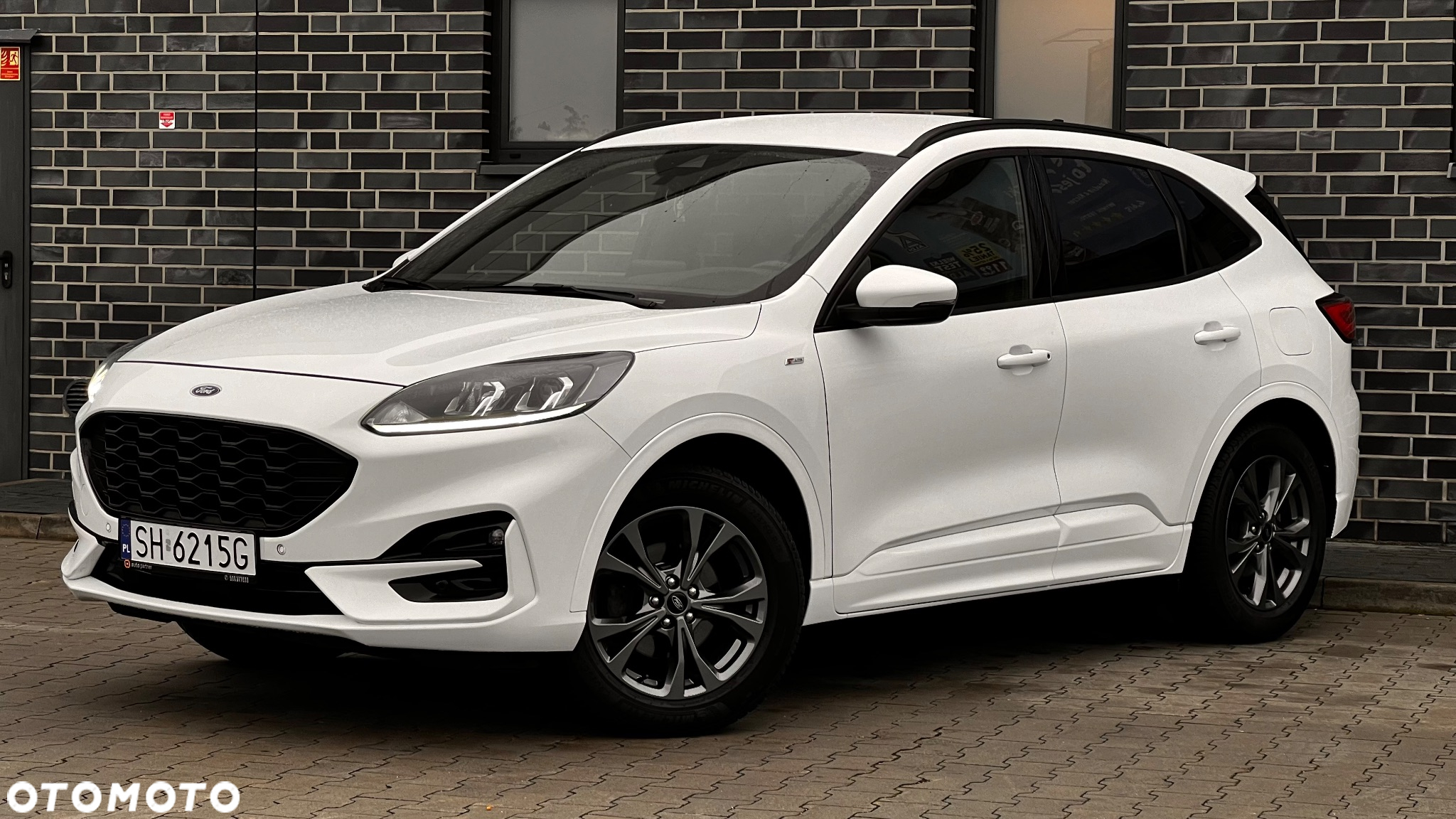 Ford Kuga 2.0 EcoBlue 4x4 ST-LINE - 6
