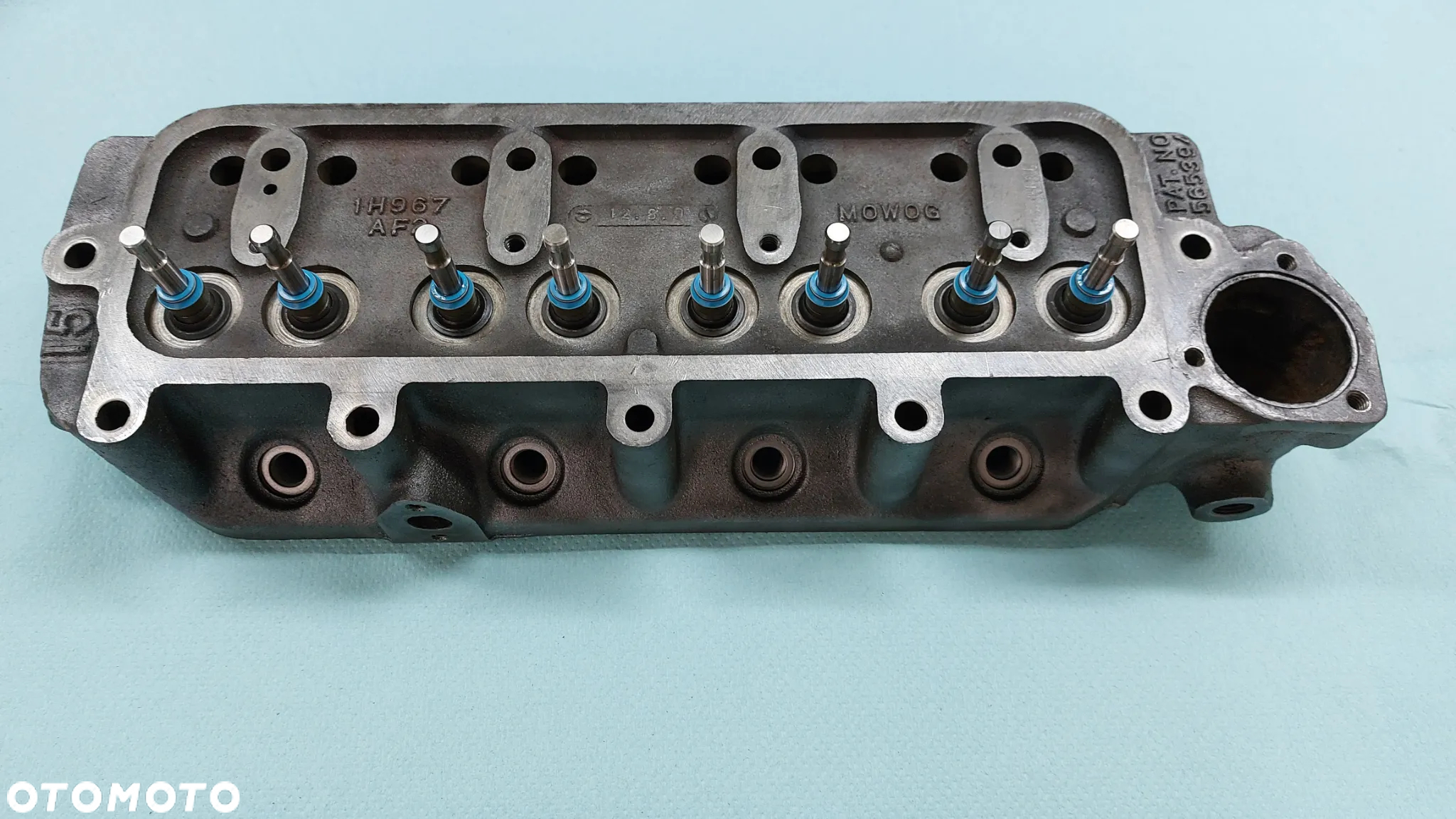 MG Inny - 27