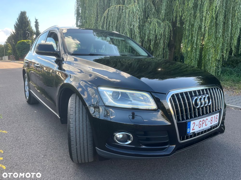 Audi Q5 2.0 TDI (clean diesel) ultra - 5