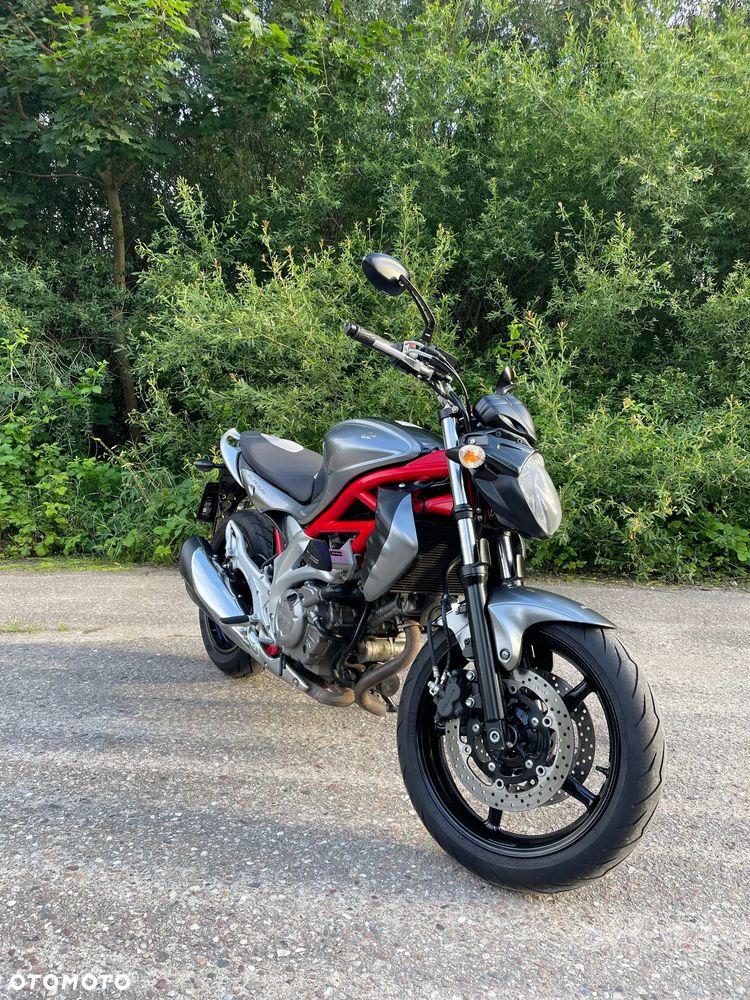 Suzuki Gladius - 3