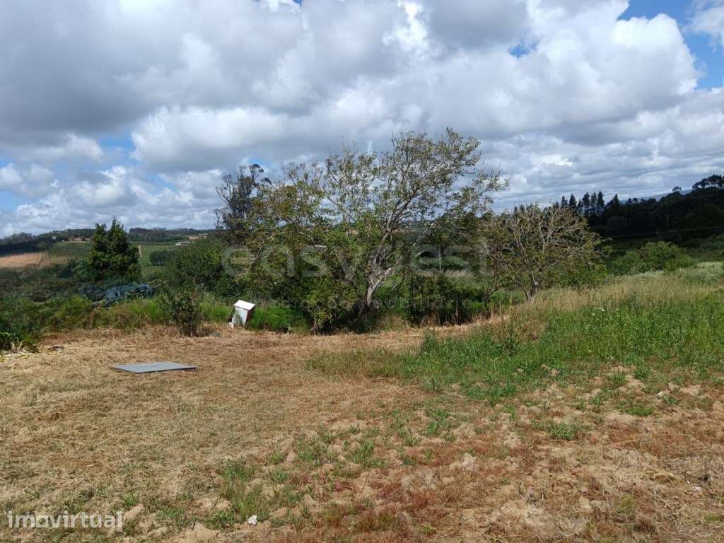 Terreno Urbano com Viabilidade para construção de duas casas - Grande imagem: 2/7