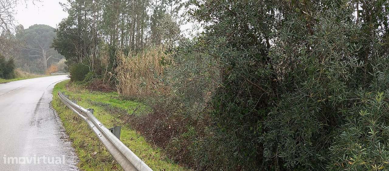 Terreno  para venda - Grande imagem: 4/4