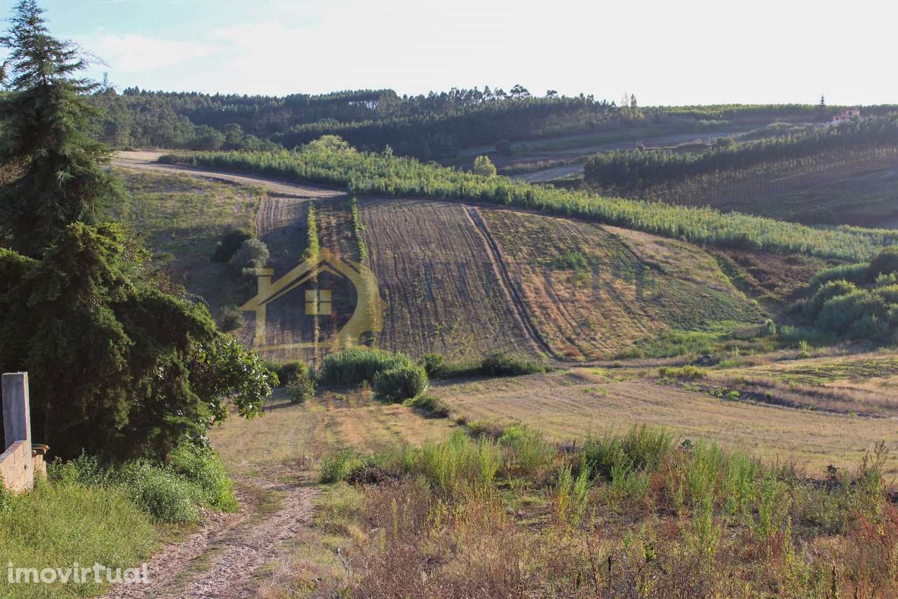 Terreno  Venda em Bombarral e Vale Covo,Bombarral - Grande imagem: 2/21
