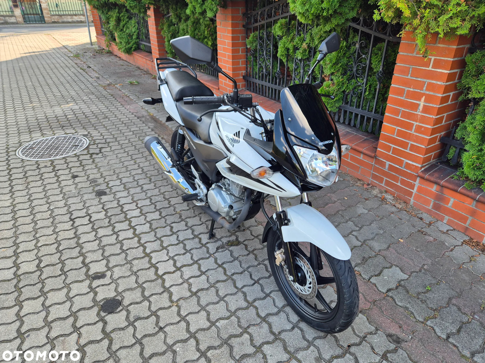 Honda CBF - 6