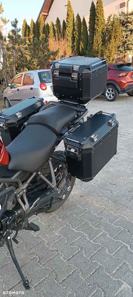 Triumph Tiger - 10