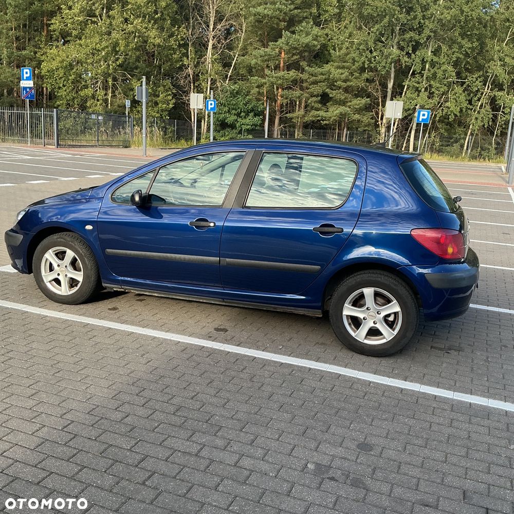Peugeot 307 110 OXYGO - 14